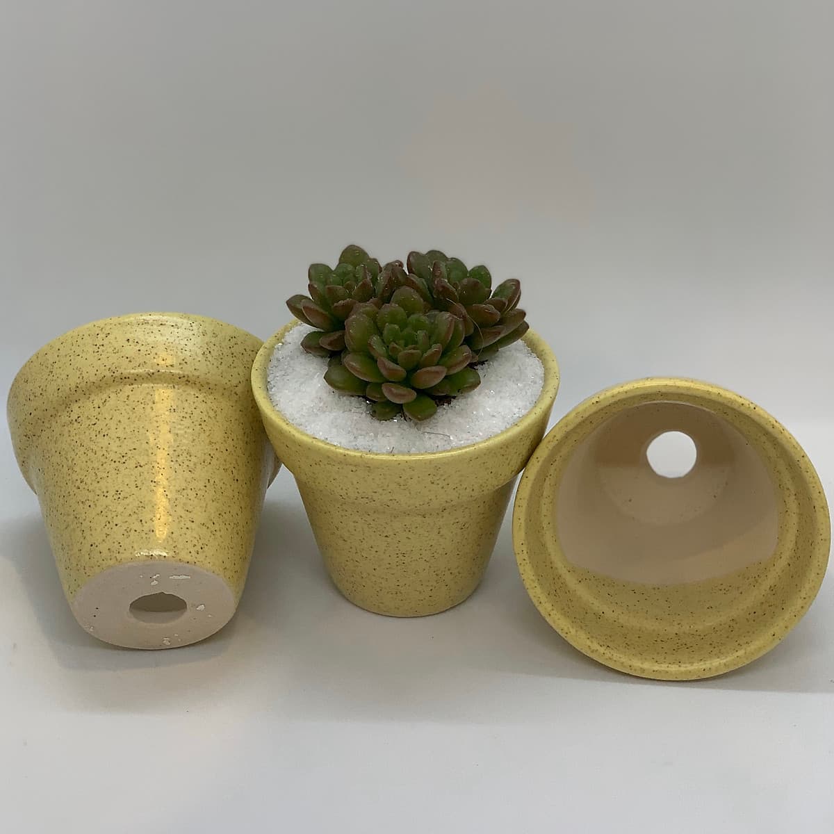 Sen Đá Ruby Đỏ - 7x7x15 Cm - Cây Mini Để Bàn & Chậu Gốm Sứ Bát Tràng Trồng Cây Sen Đá, Xương Rồng, Tiểu cảnh Terrarium - Dáng Trôn Ốc