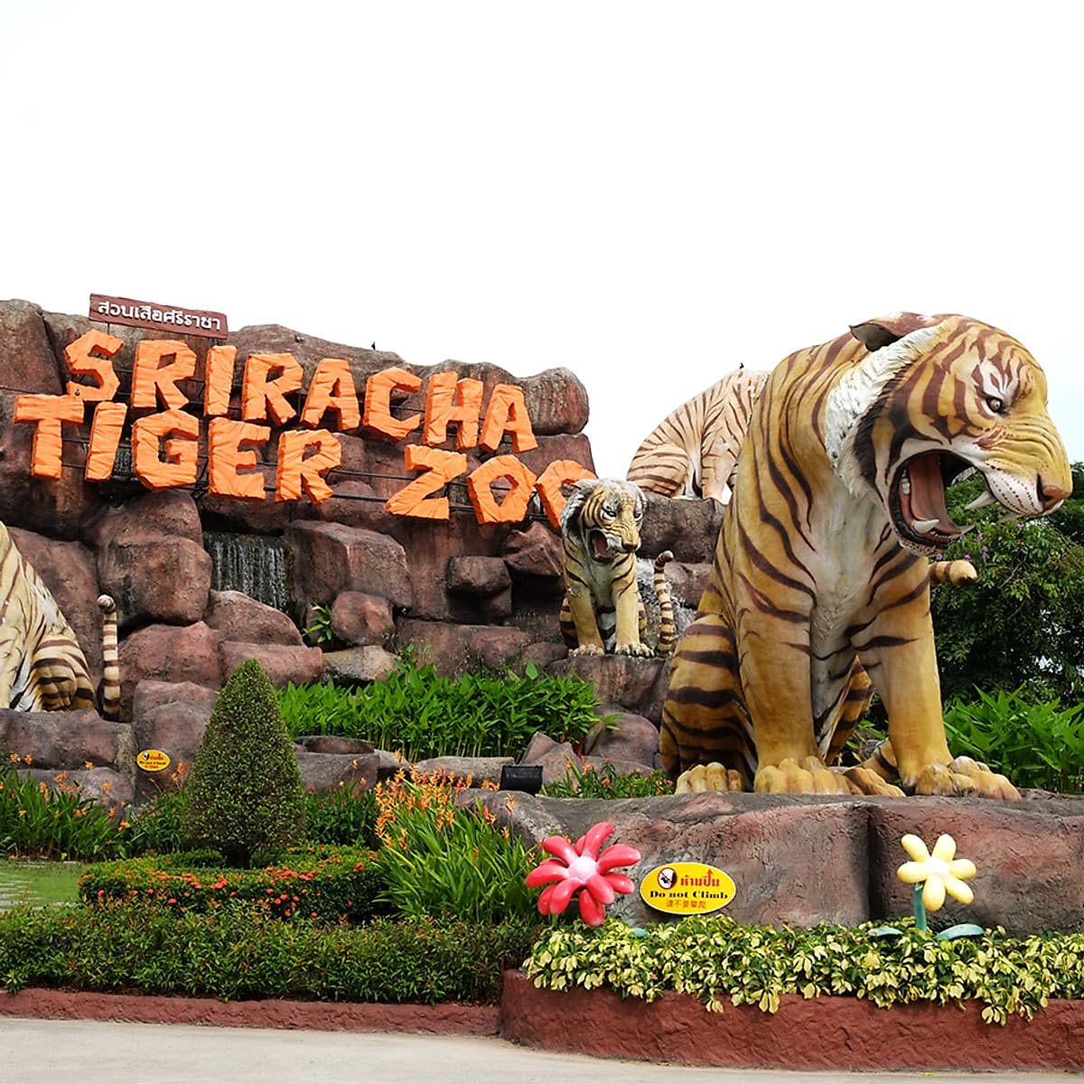 Vé Tham Quan Trại Hổ Sriracha Ở Pattaya, Thái Lan