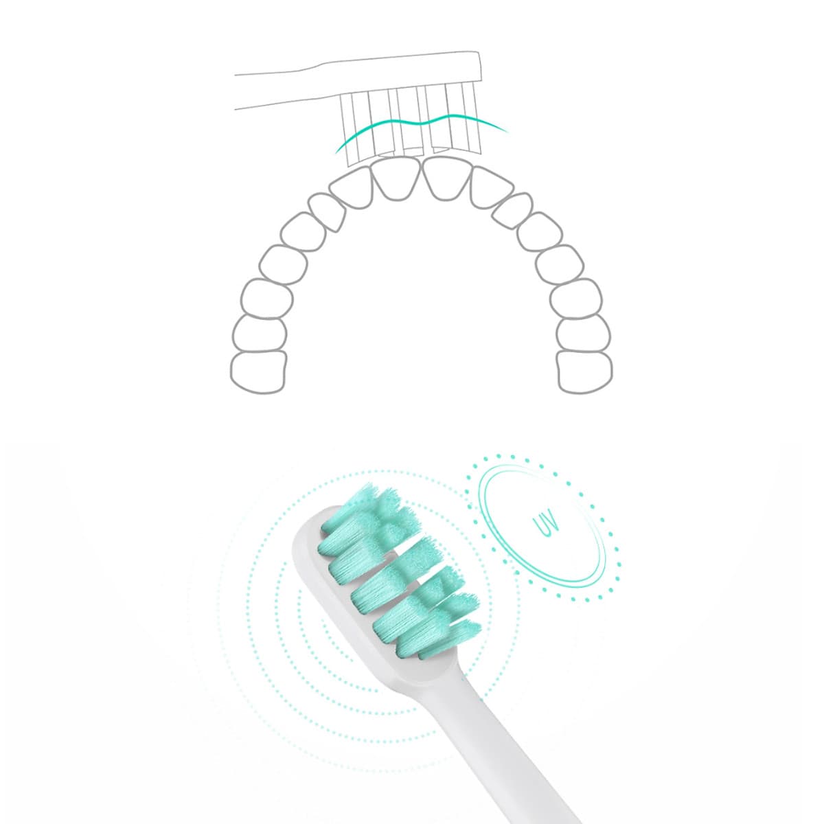 Đầu Thay Thế Bàn Chải Điện Xiaomi MiJia Sonic (3 Cái)