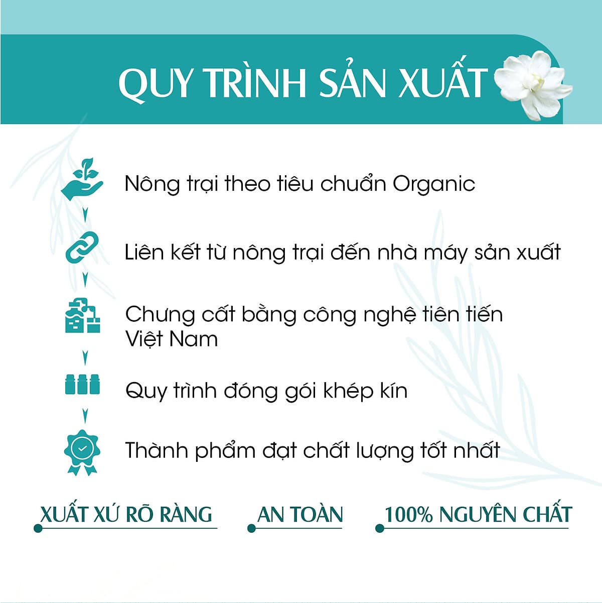 Xịt Phòng Tinh Dầu Bạc Hà Hữu Cơ Organic 24Care 50ML/100ML - Kháng khuẩn - Khử mùi hôi - Đuổi muỗi, côn trùng - Tập trung tinh thần làm việc, lái xe, học hành - Hương thơm thư giãn.