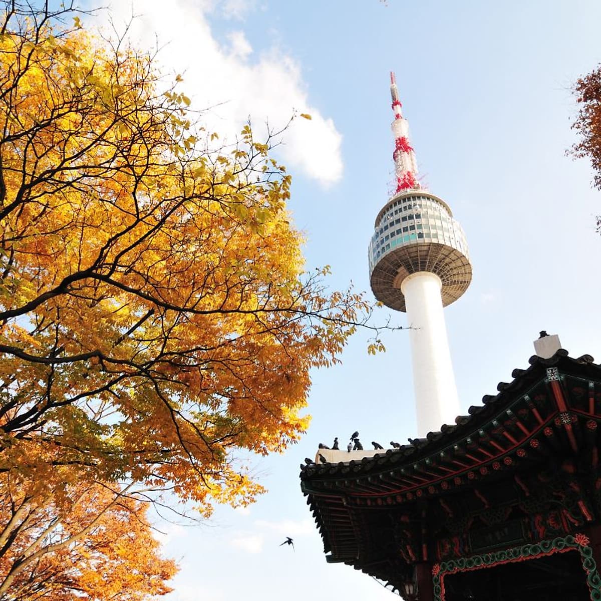 [HCM] Tour Hàn Quốc 4N4Đ: Seoul - Nami - Everland, Khởi Hành Tháng 03, 04, 05, 06 & Lễ 30/4