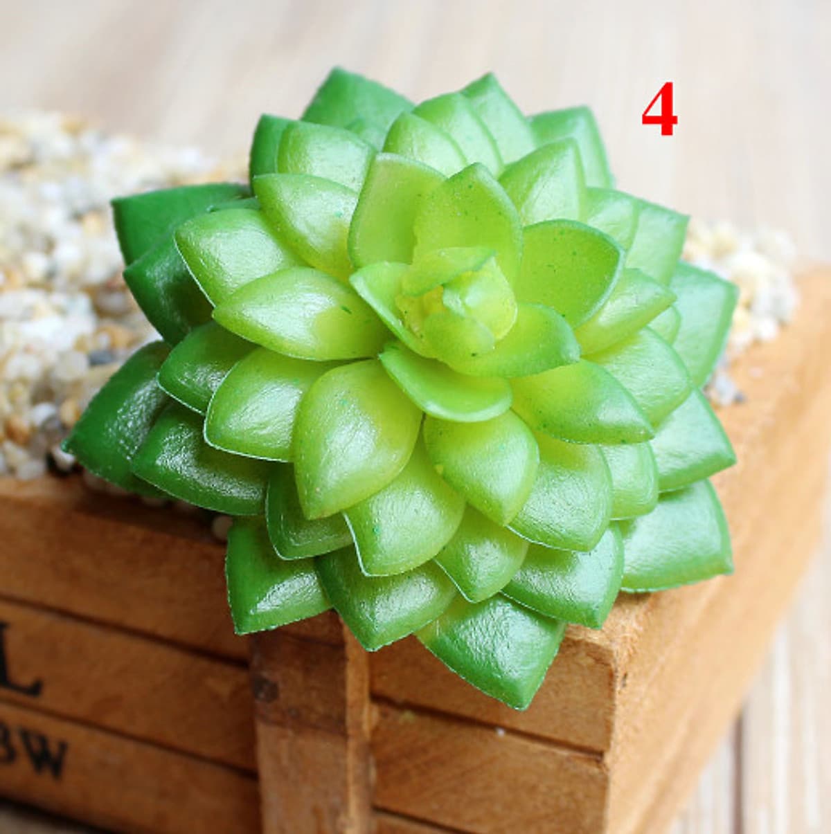 Bộ 1 gói hạt giống Sen đá mix-100 hạt