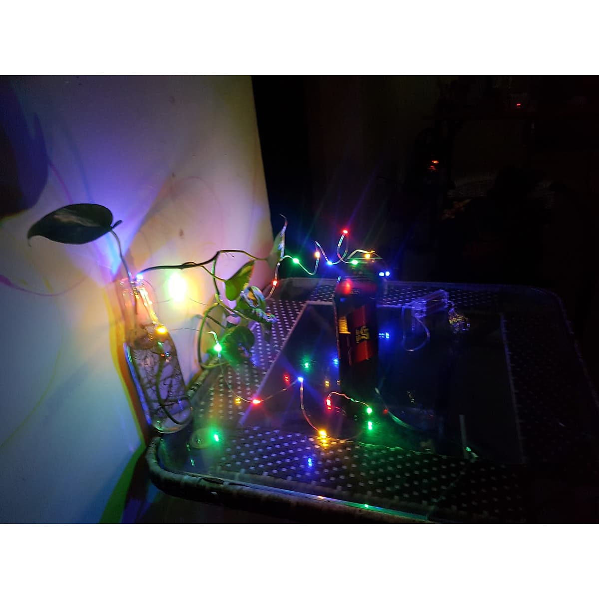 Đèn led đom đóm fairy light dây đồng trang trí decor phòng, cắm trại tạo không gian cổ tích lãng mạn