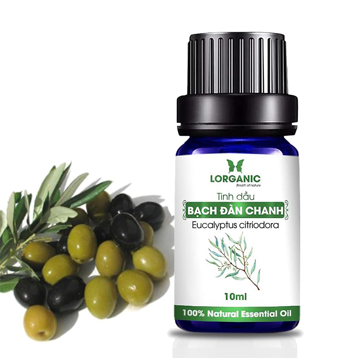 Combo máy khuếch tán/ máy xông tinh dầu Lorganic Bí Ngô FX2055 + tinh dầu bạch đàn chanh Lorganic (10ml) LGN0364/ Thích hợp xông phòng 15-40m2.