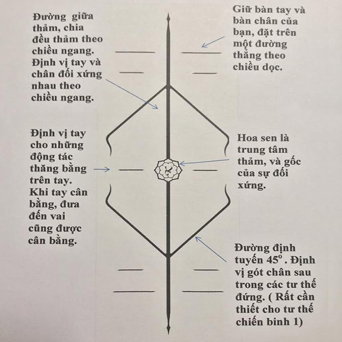 Thảm Tập Yoga Định Tuyến TPE 2 Lớp – Chọn Màu – Chọn Độ Dày + Bao Thảm Tập Yoga + Dây Buộc Thảm Tập Yoga Chính Hãng miDoctor 