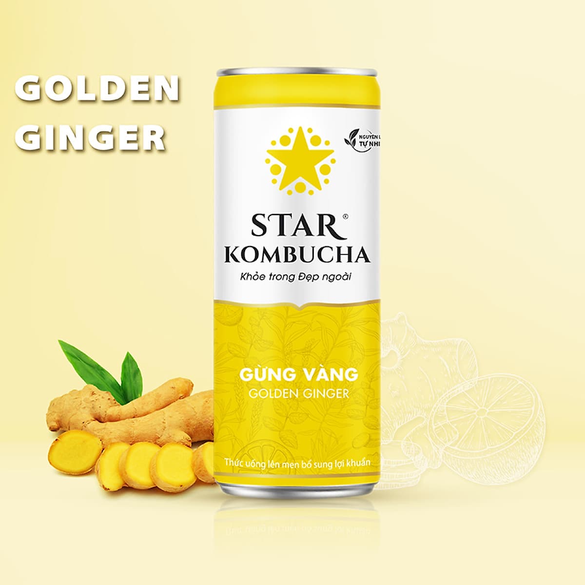 Thùng 12 lon STAR KOMBUCHA All-in-One (250ml/lon)