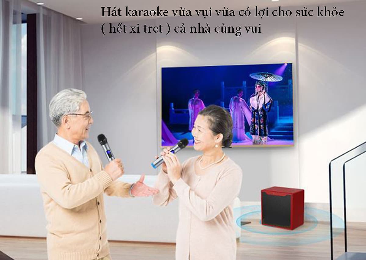 Bộ loa hát karaoke gồm 2 micro UHF dùng cho tivi smart và điện thoại Amoi L6P ( Hàng nhập khẩu ) có ổ cắm đa năng đi kèm