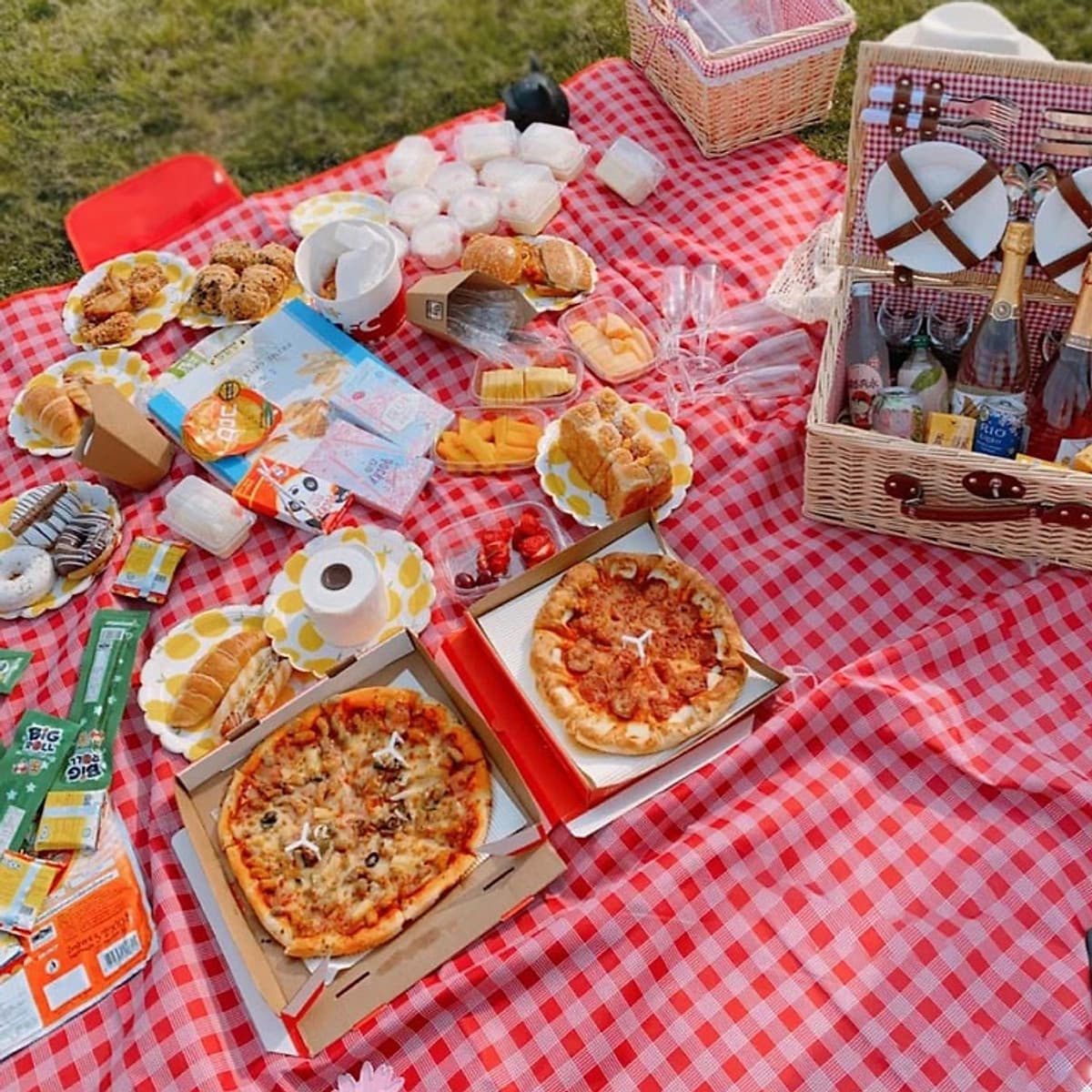 THẢM DÃ NGOẠI, DU LỊCH, PICNIC CAO CẤP - Chống thấm nước, họa tiết caro, gấp gọn tiện lợi - 2 kích thước khách chọn màu!