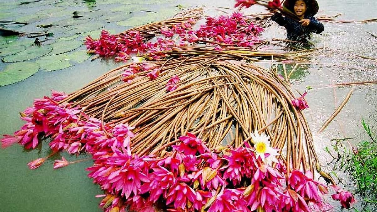 Tour Miền Tây 4N3Đ khởi hành Hà Nội