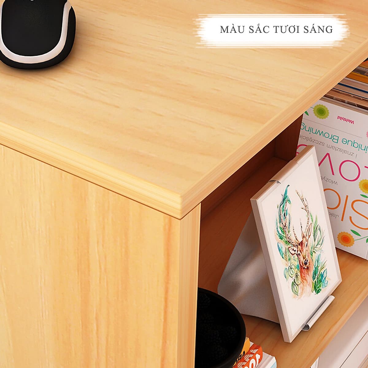 Bàn Học, Bàn Làm Việc Kết Hợp Kệ Sách Thương Hiệu IGEA