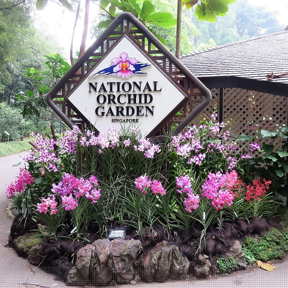 Vé Tham Quan Vườn Lan National Orchid Garden Ở Singapore