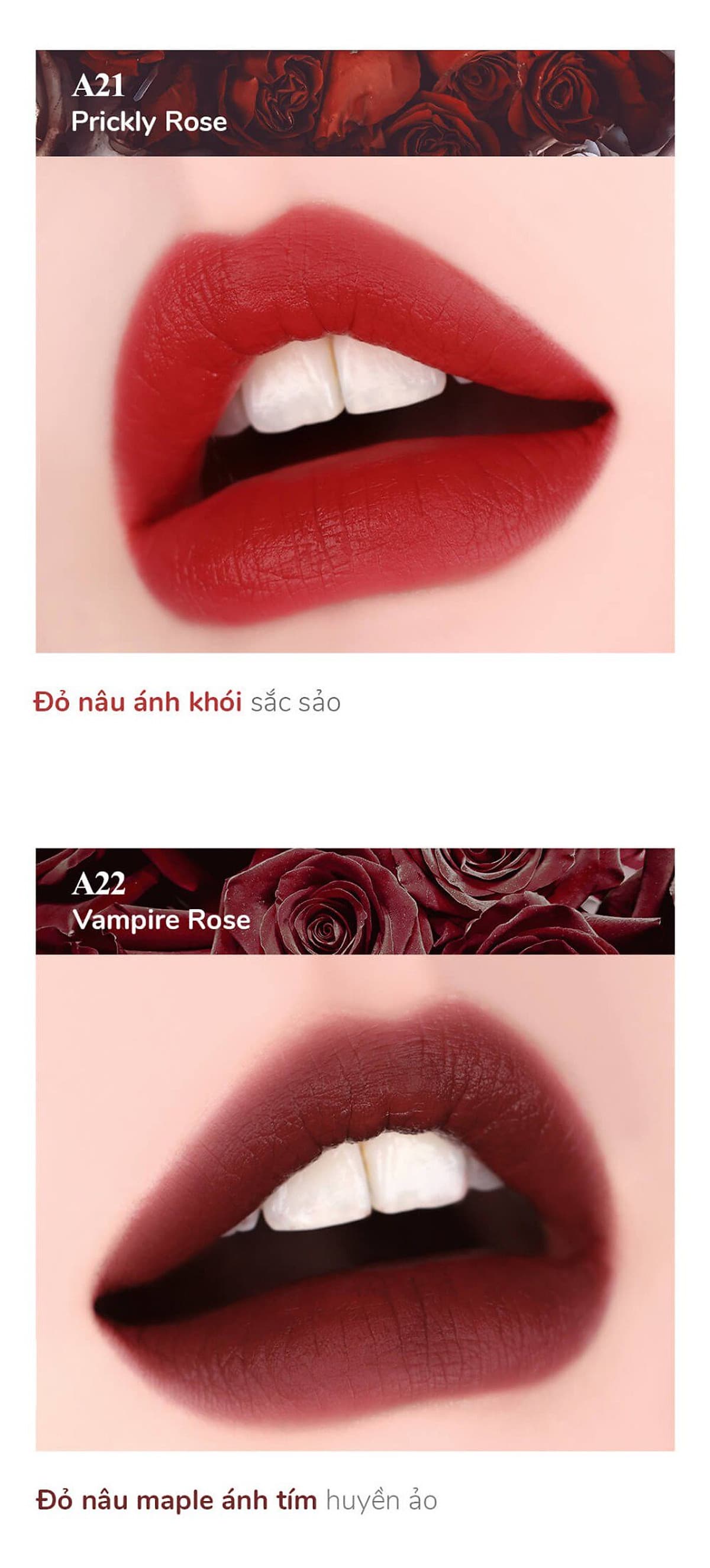 Son Kem Lì Black Rouge Air Fit Velvet Tint – Hàn Quốc