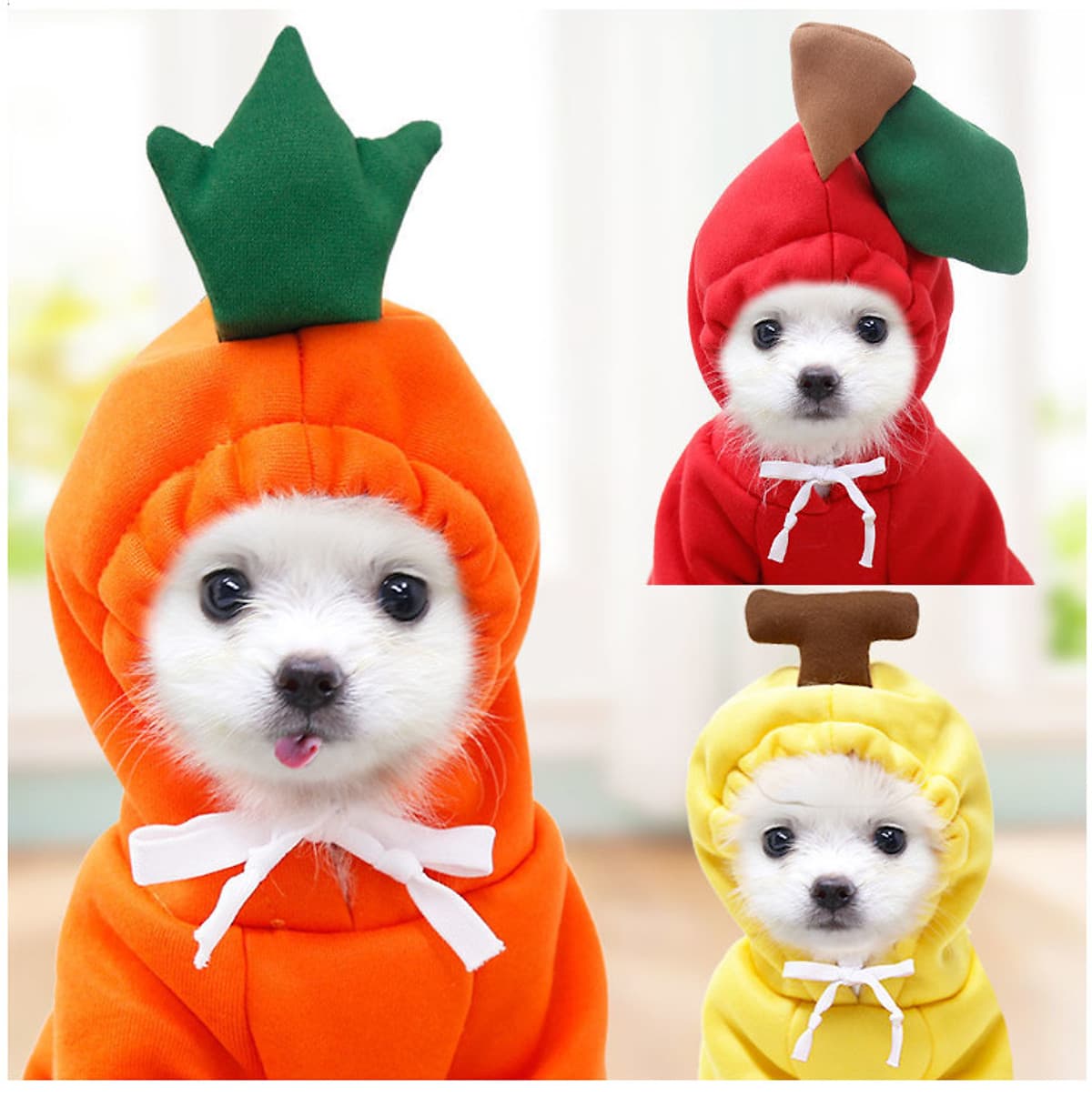 Áo Quần Thú Cưng, Áo cho chó mèo siêu cute
