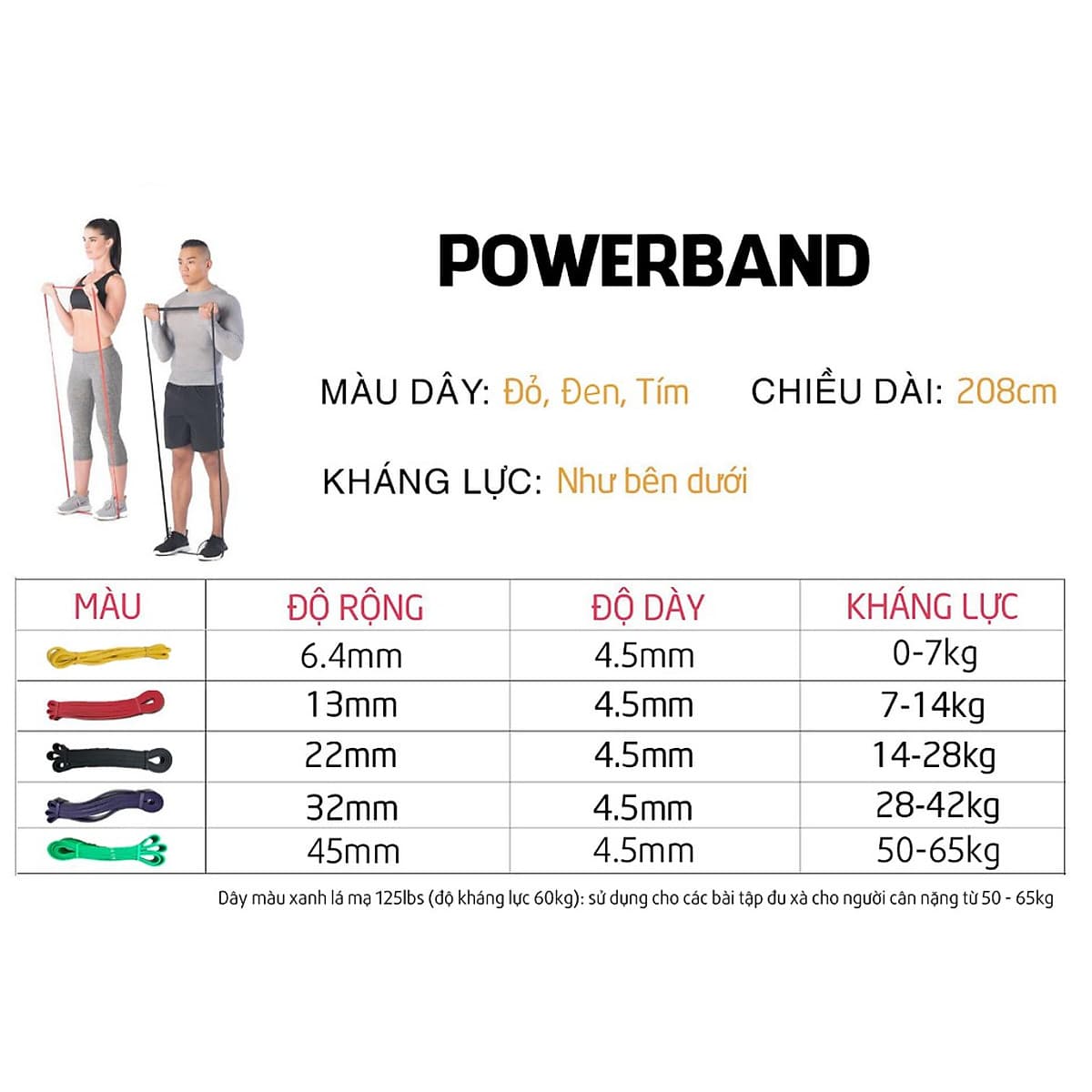 Dây Kháng Lực Power Band
