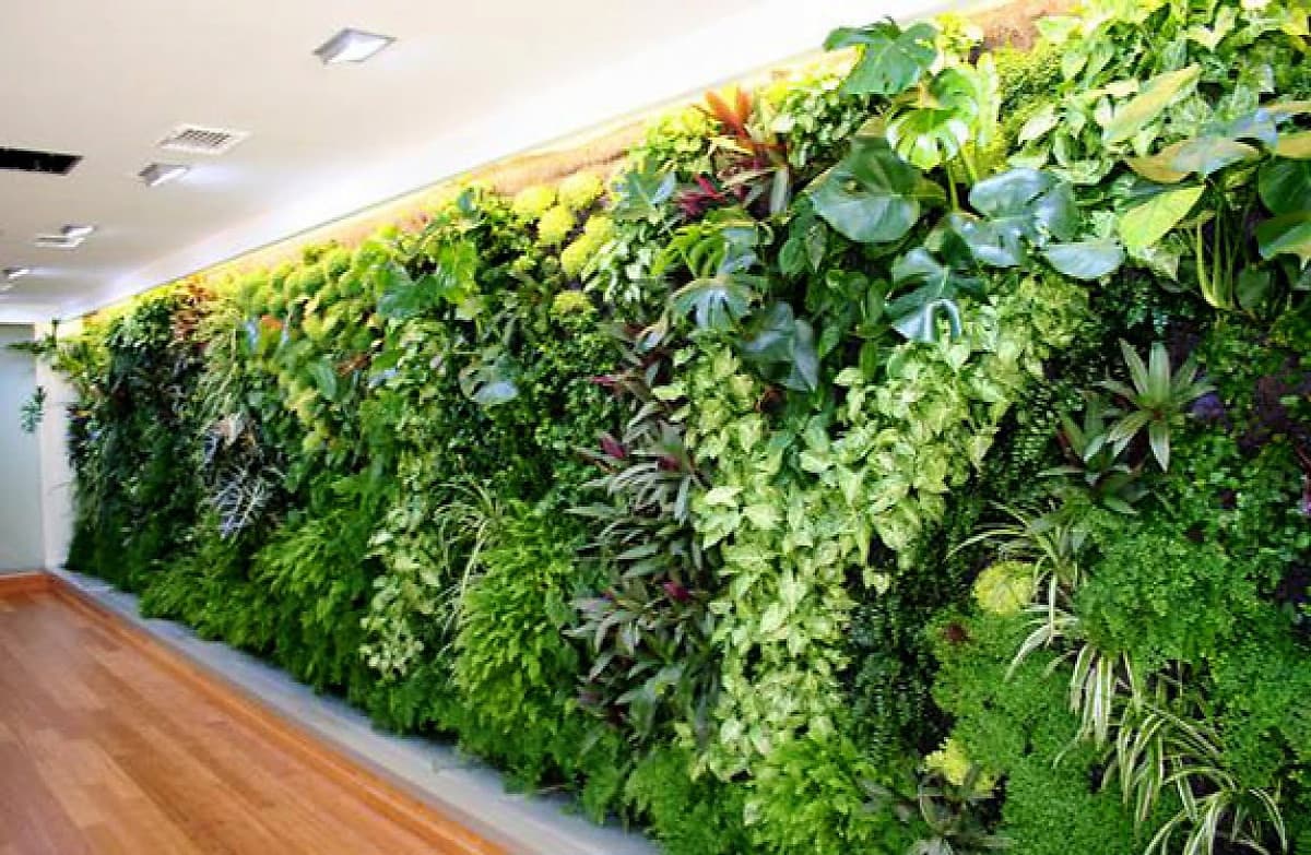 1m2 Vườn tường HOLO - Khung chậu nhựa trồng cây trồng rau trồng hoa trên tường - Nhiều màu (10 khung + 30 chậu)