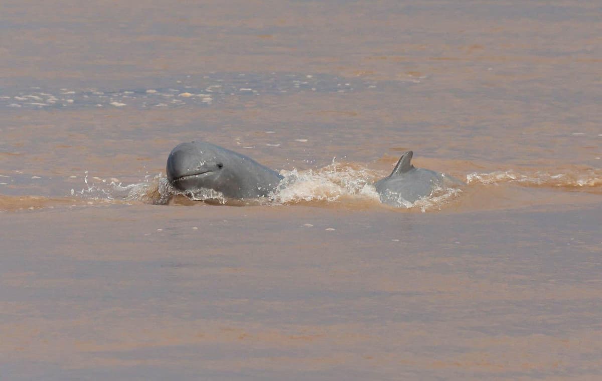 TOUR CAMPUCHIA 3N2Đ: KRATIE - PREAH VIHEAR - STUNG TRENG - VIETKITE TRAVEL