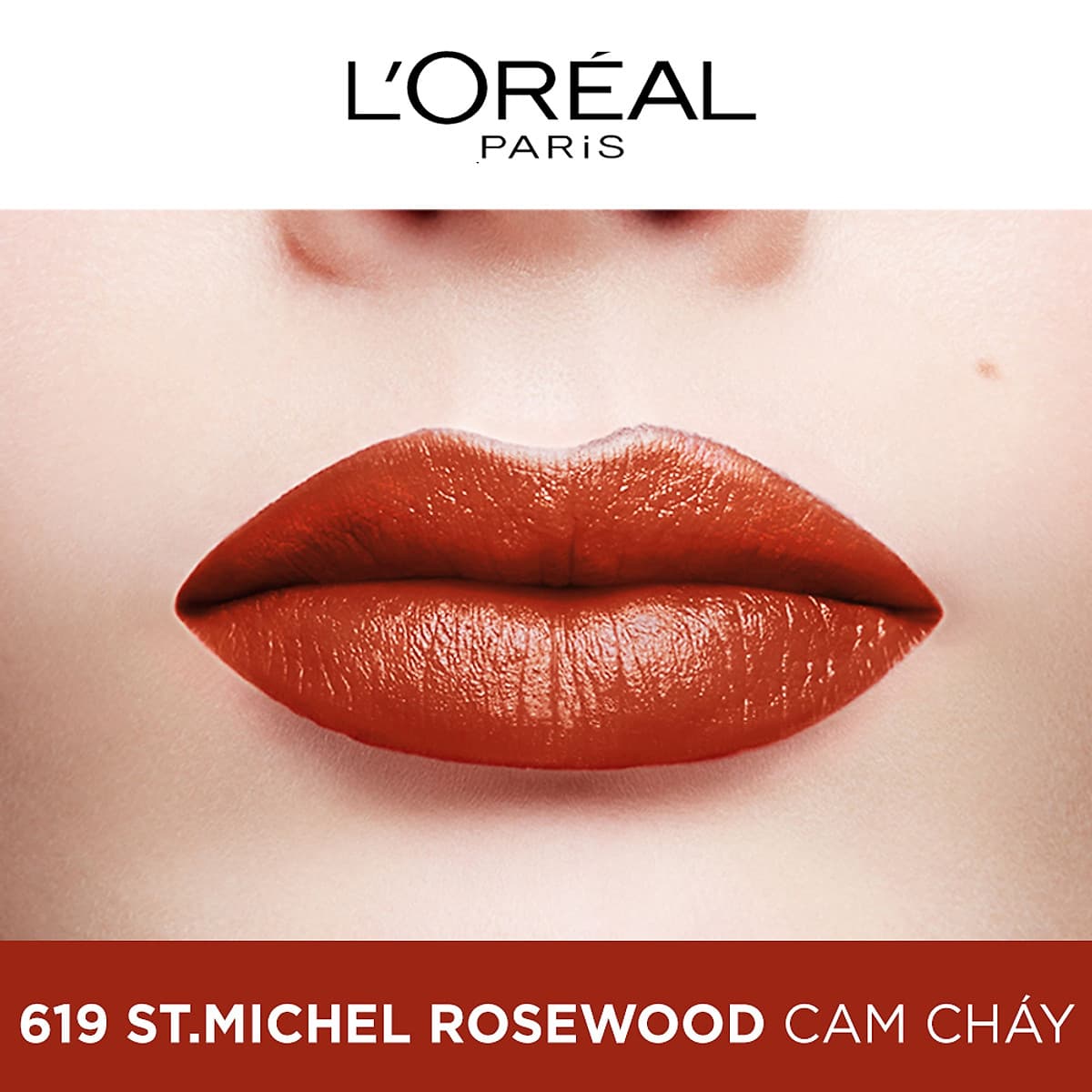 Son satin mịn mượt cao cấp L'Oreal Paris Color Riche Le Rouge 3.7g 