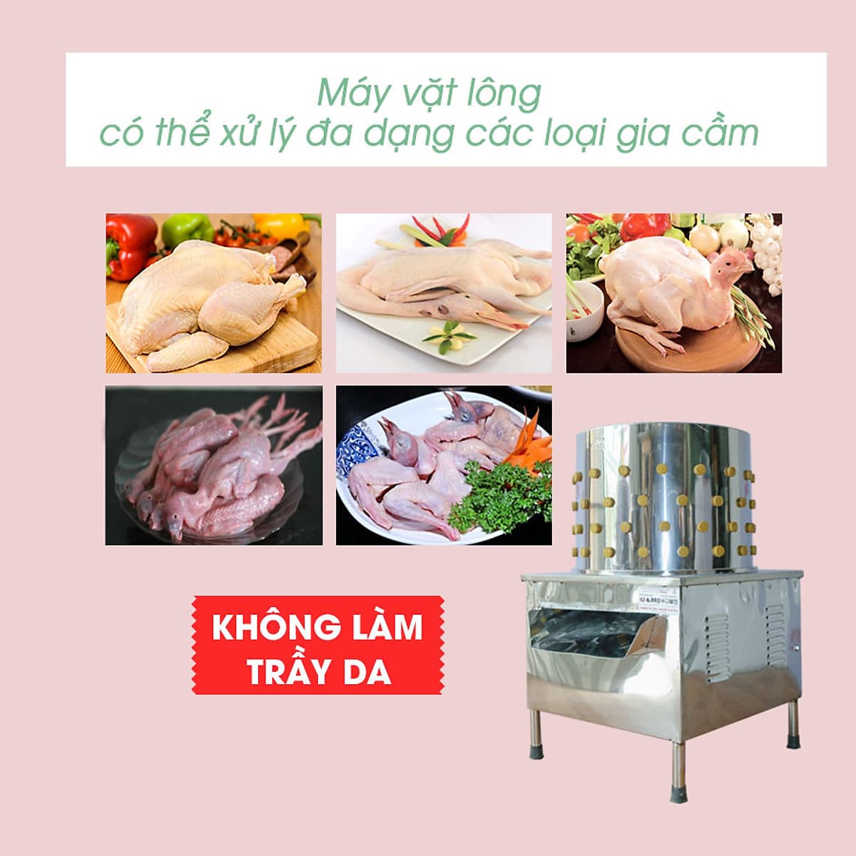 Máy Nhổ Lông Gà Vịt NEWSUN 55 - Hàng Chính Hãng
