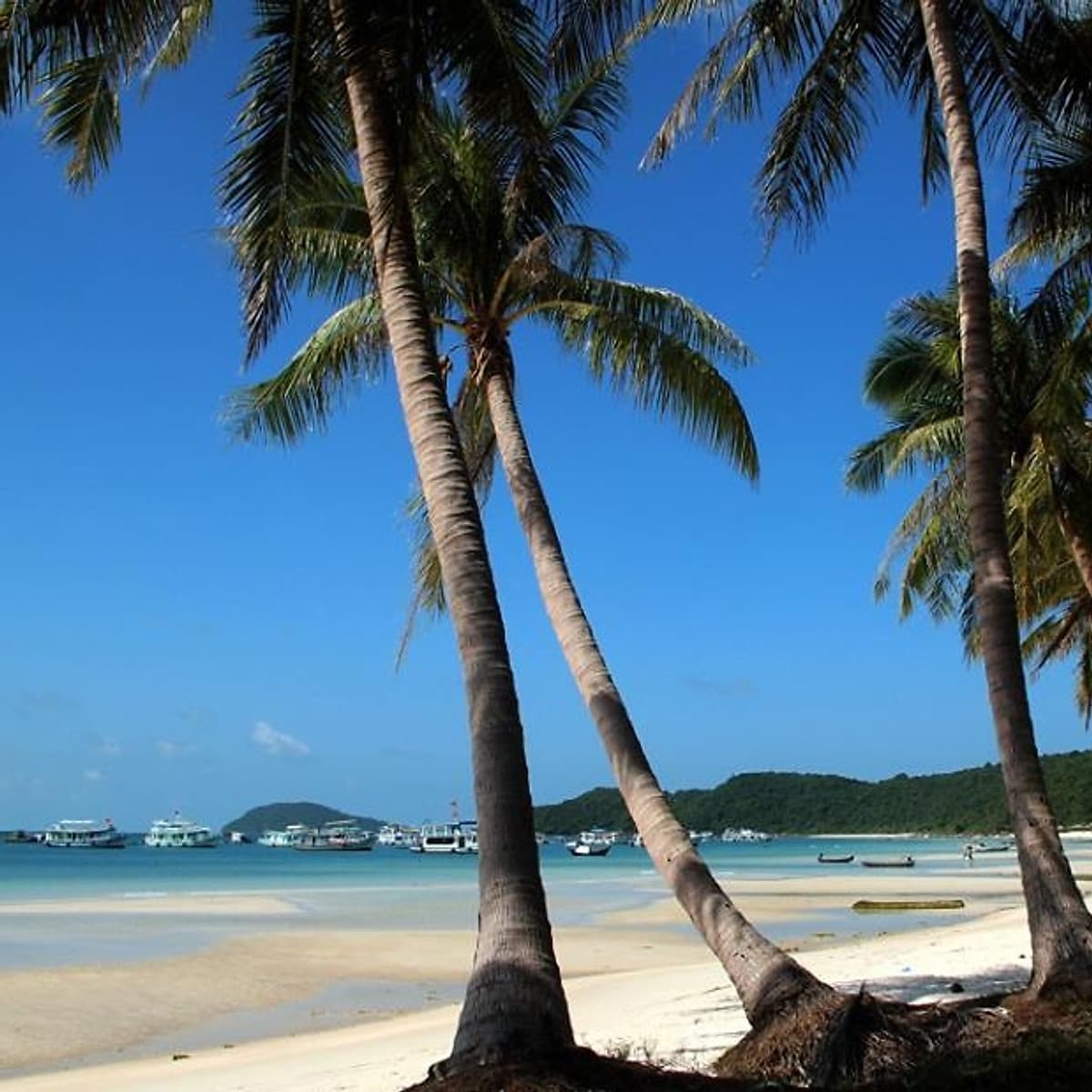 [Tour Tết 2021] Phú Quốc 3N2Đ Từ HCM, Khách Sạn 5 Sao, Gồm Vé Máy Bay, Khởi Hành Mùng 2, 3, 4, 7