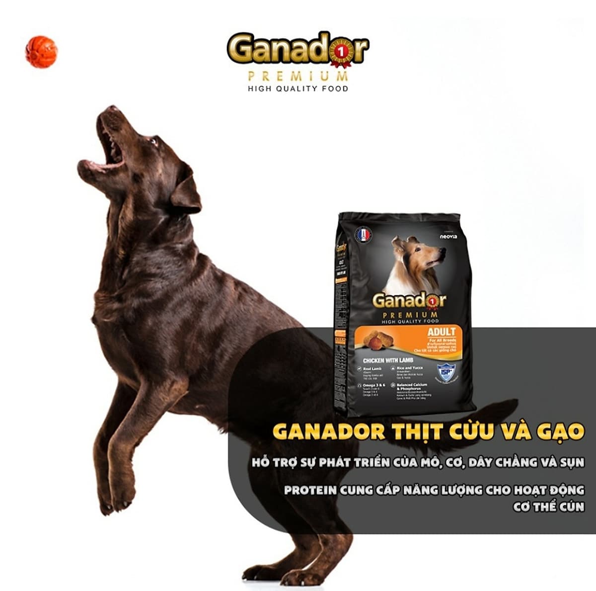 Combo 5 gói thức ăn cho chó trưởng thành Ganador vị thịt cừu & gạo Lamb & Rice 400gram
