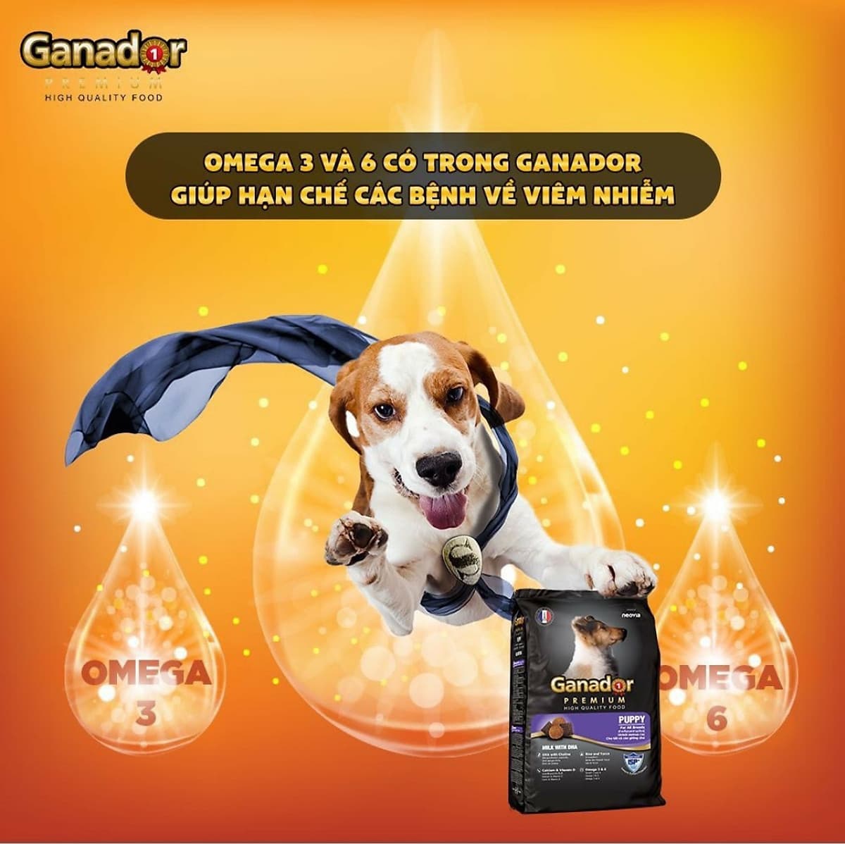 Combo 5 gói thức ăn cho chó con Ganador vị sữa & DHA Puppy Milk with DHA 400 gram