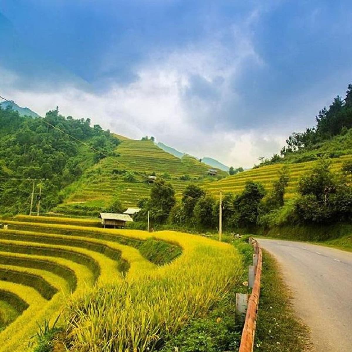 Tour Mù Cang Chải - Sapa - Ngọc Chiến 3N2Đ, Khởi Hành Thứ 6 Hàng Tuần & Dịp Lễ