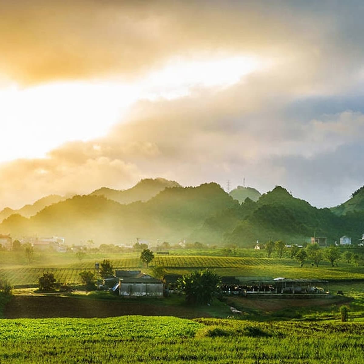 Tour 5N4Đ Hà Nội - Tú Lệ - Mù Cang Chải - Lai Châu - Điện Biên - Mộc Châu - Mai Châu, Khách Sạn 4 Sao, Khởi Hành Thứ 4 Hàng Tuần