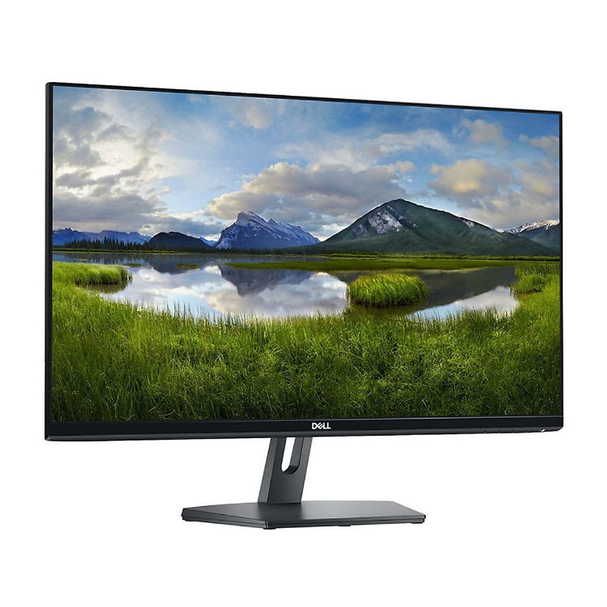Màn Hình Dell SE2719HR 27 Inch Full HD (1920 x 1080) 8ms 60Hz IPS - Hàng Chính Hãng