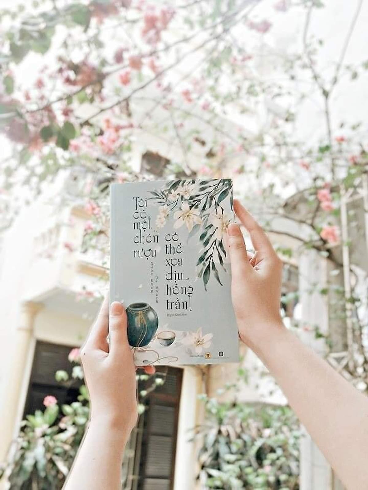 Tôi Có Một Chén Rượu, Có Thể Xoa Dịu Hồng Trần