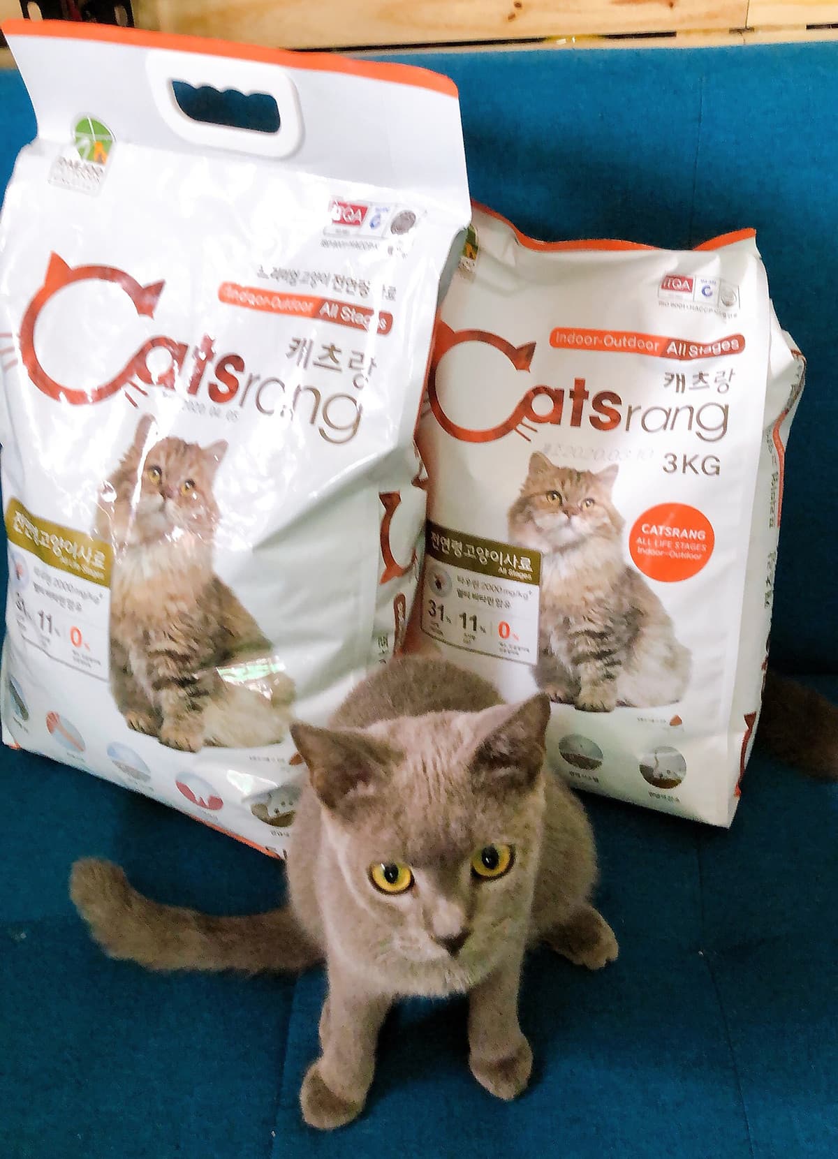 Hạt Catsrang  - Thức Ăn Hạt Cho Mèo Mọi Lứa Tuổi