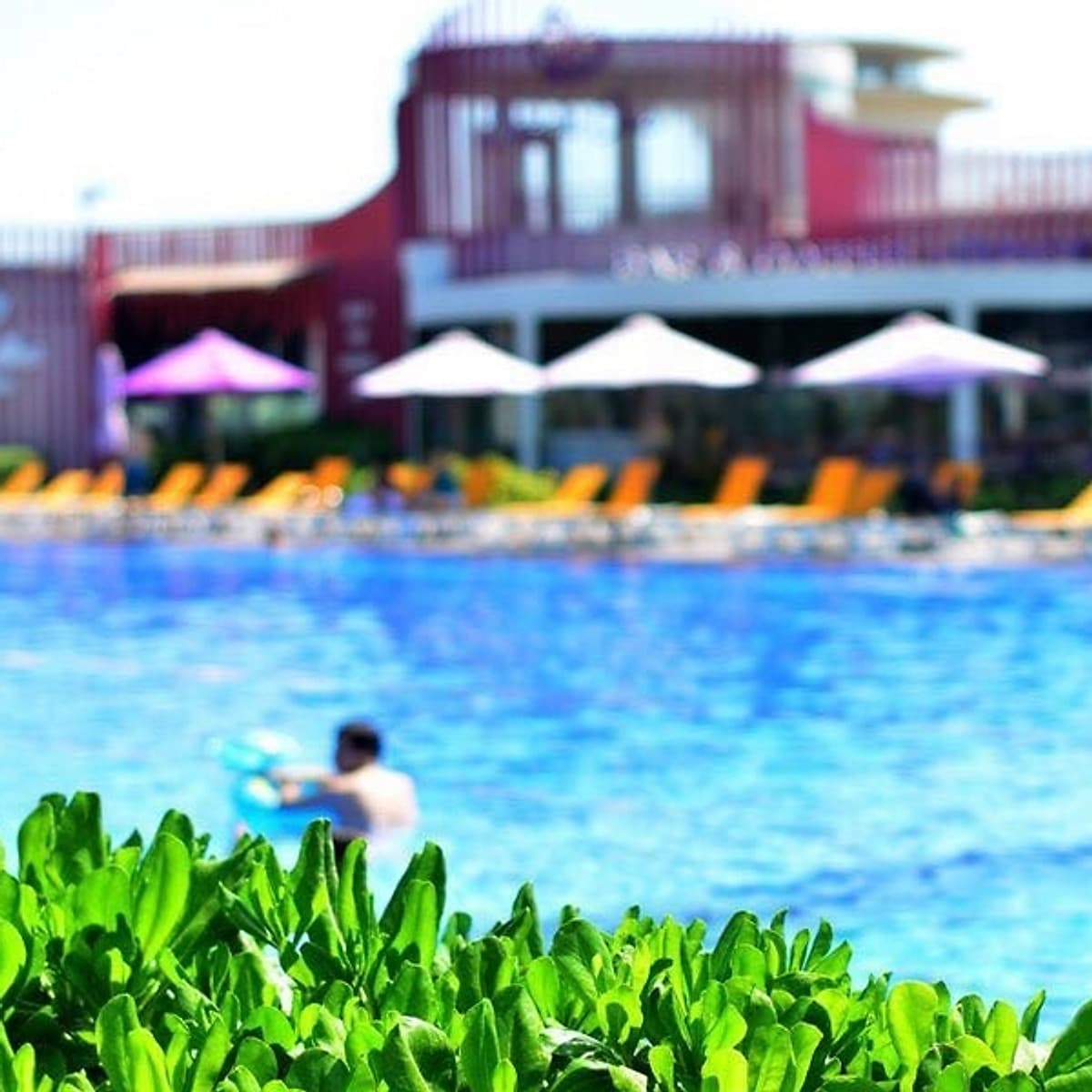 Don Villa Oceanami Long Hải 03 Phòng Ngủ Dành Cho 06 Người Lớn & 03 Trẻ Em, Sử Dụng Bếp, Lò Nướng BBQ Thỏa Thích