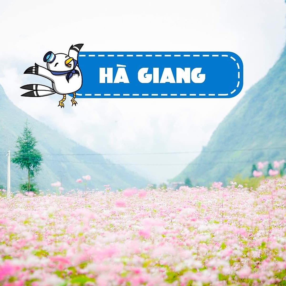 Tour 3N2Đ Hà Giang - Đồng Văn - Lũng Cú - Quản Bạ, Khởi Hành Thứ 6 Hàng Tuần & Dịp Lễ Tết Từ Hà Nội