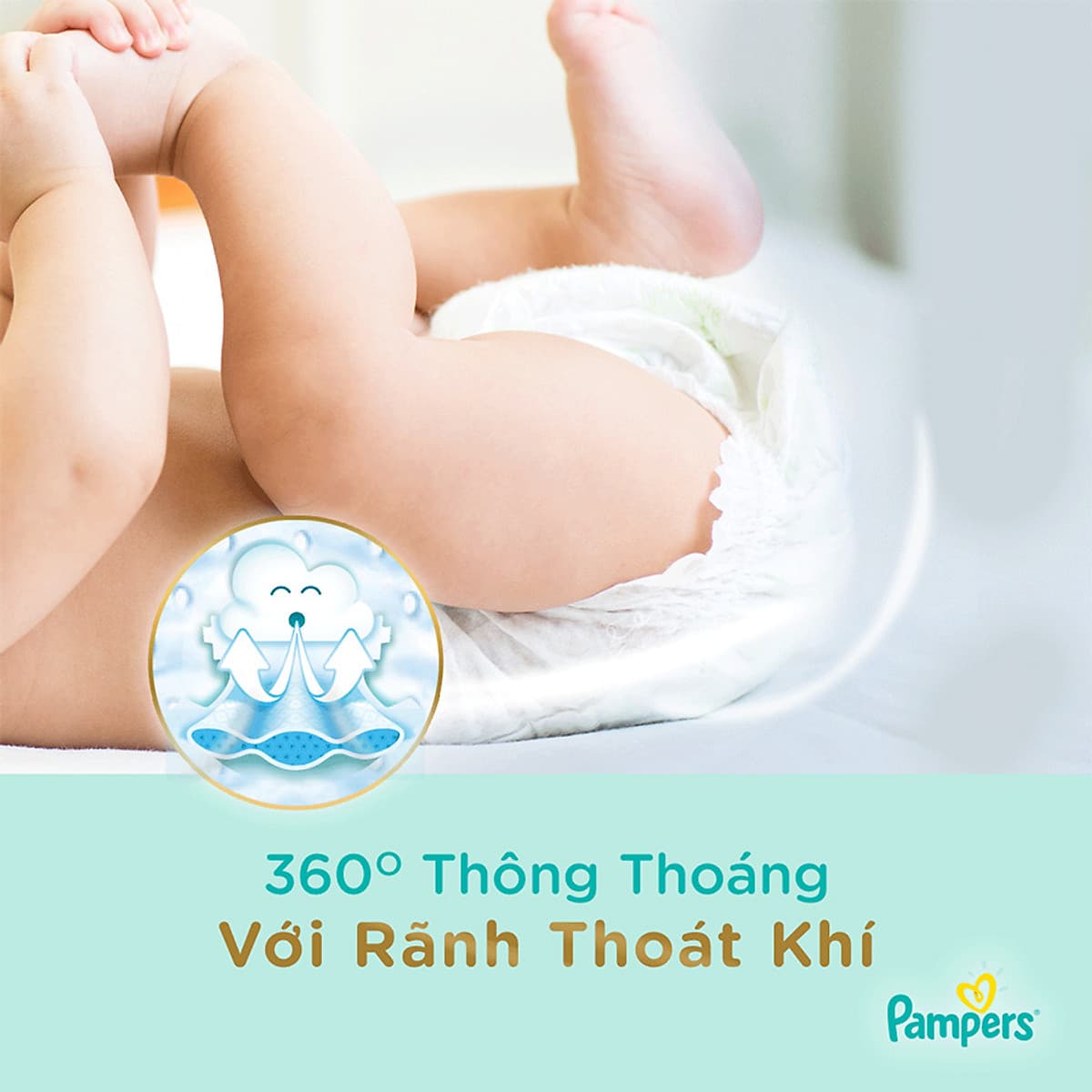 Tã Quần Pampers Nội Địa Nhật Bản