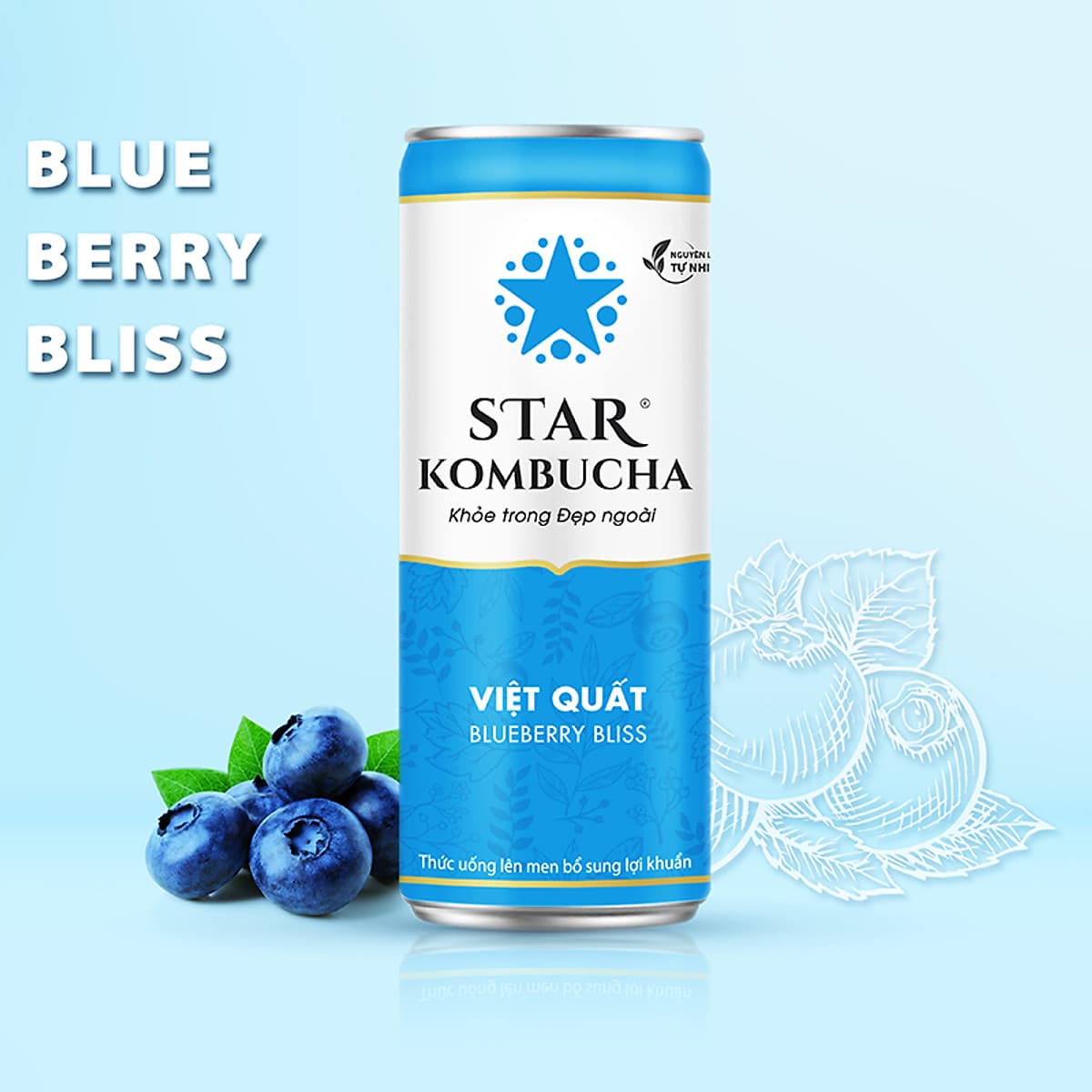 Thùng 12 lon STAR KOMBUCHA All-in-One (250ml/lon)