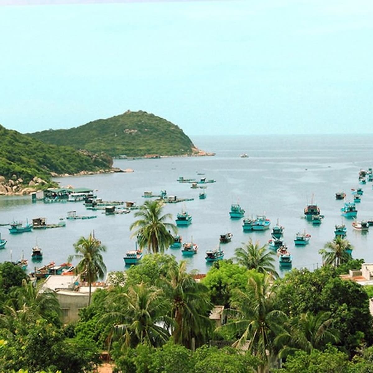 Tour Đảo Bình Ba - Bình Hưng 2N2Đ, Lặn Ngắm San Hô, Xe Giường Nằm, Khởi Hành Tối Thứ 6 Hàng Tuần & Dịp Lễ Tết
