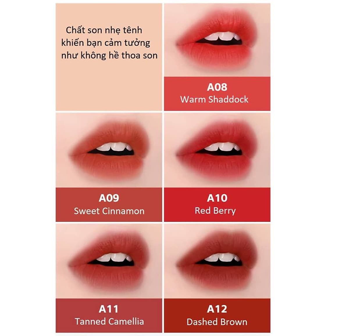 Son Kem Lì Black Rouge Air Fit Velvet Tint – Hàn Quốc