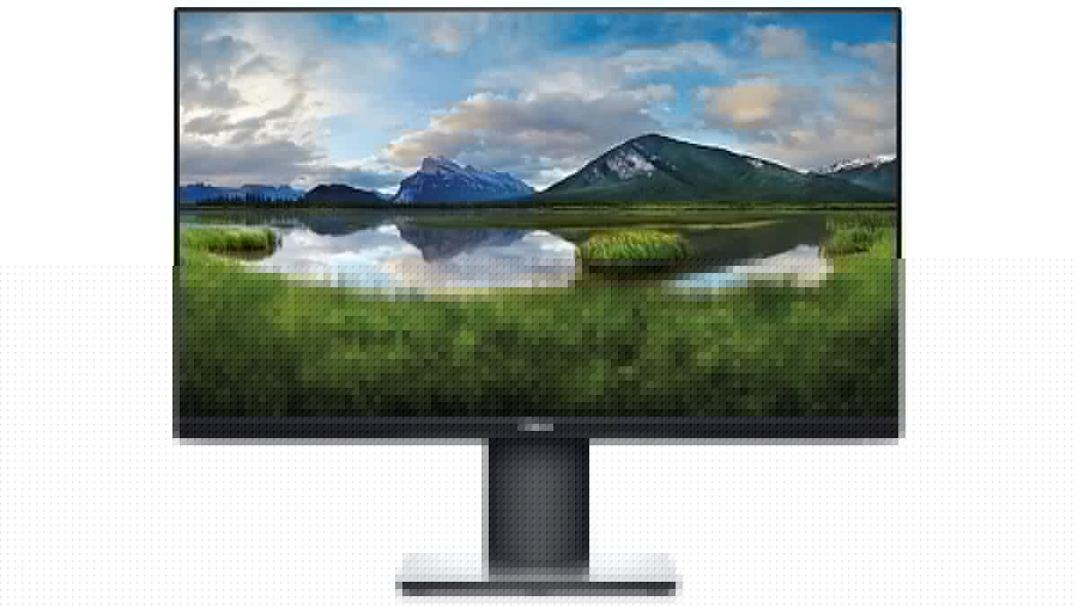 Màn hình Dell P2421D ( 23.8"/ 2K/ IPS/ 60Hz/ 5ms ) - Hàng Chính Hãng