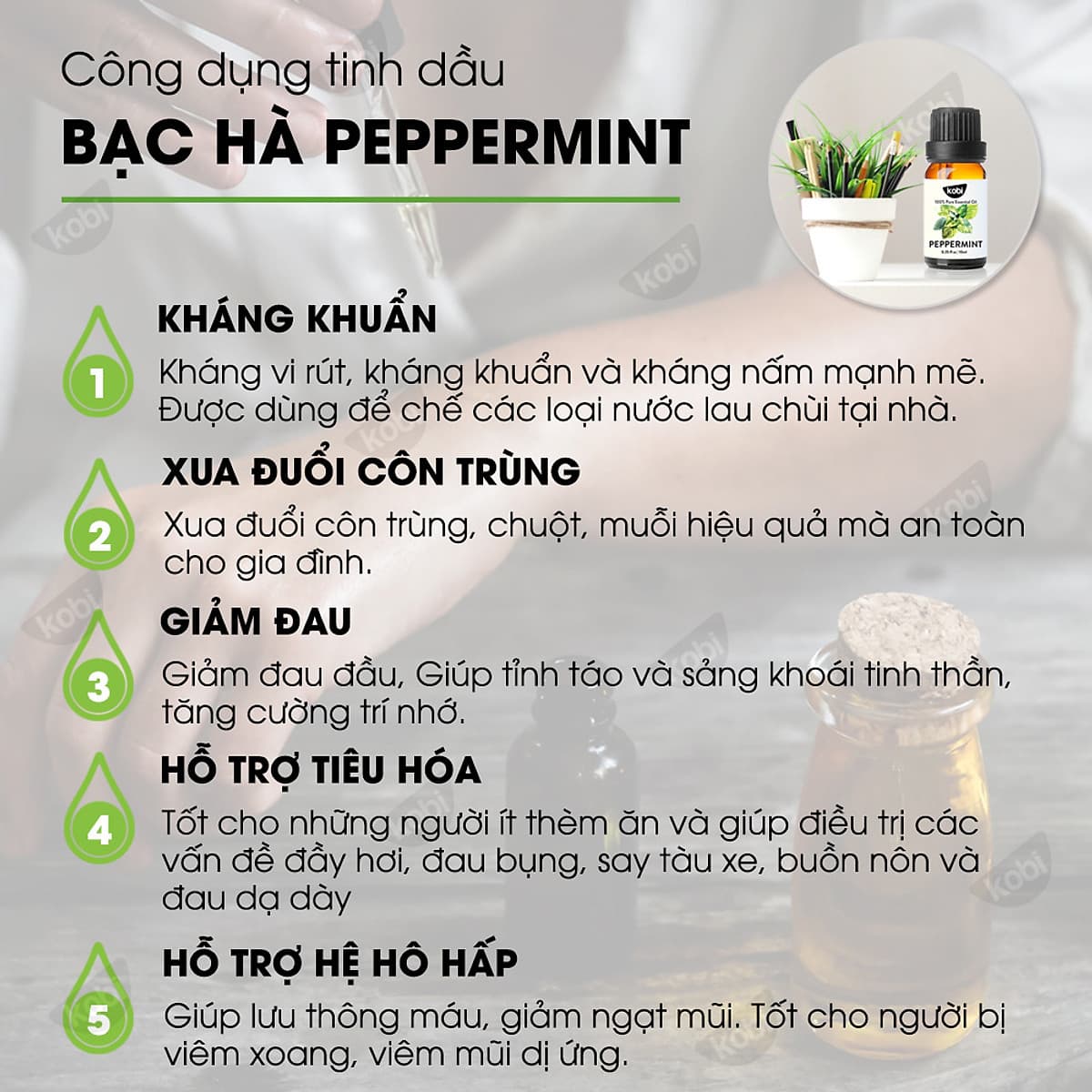 Tinh Dầu Xông Phòng Sả Chanh Kobi (10ml) + Tinh Dầu Bưởi Hồng Kobi (10ml) + Tinh Dầu Bạc Hà Kobi (10ml) Nguyên Chất Giúp Kháng Khuẩn, Khử Mùi, Giảm Stress Hiệu Quả - Tinh Dầu Thiên Nhiên