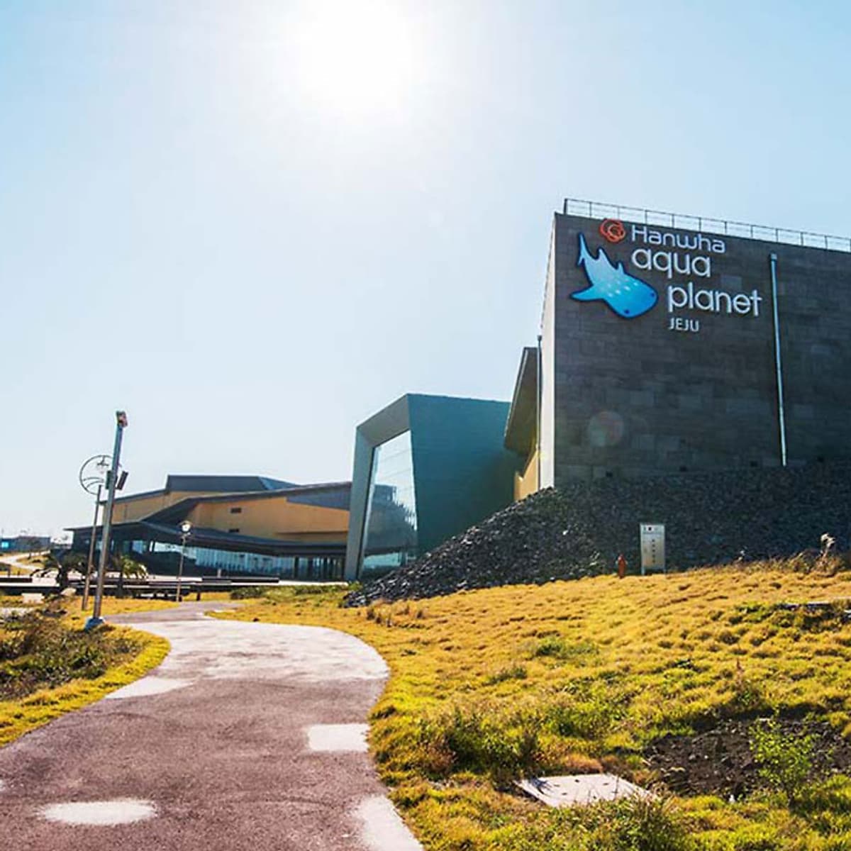 Vé Thủy Cung Aqua Planet Jeju, Hàn Quốc