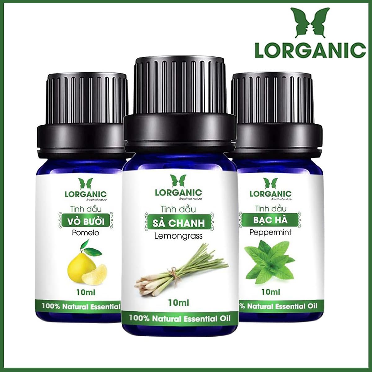 Combo 3 Tinh Dầu Lorganic: Tinh Dầu Sả Chanh (10ml) + Tinh Dầu Bưởi (10ml) + Tinh Dầu Bạc Hà Nguyên Chất (10ml)