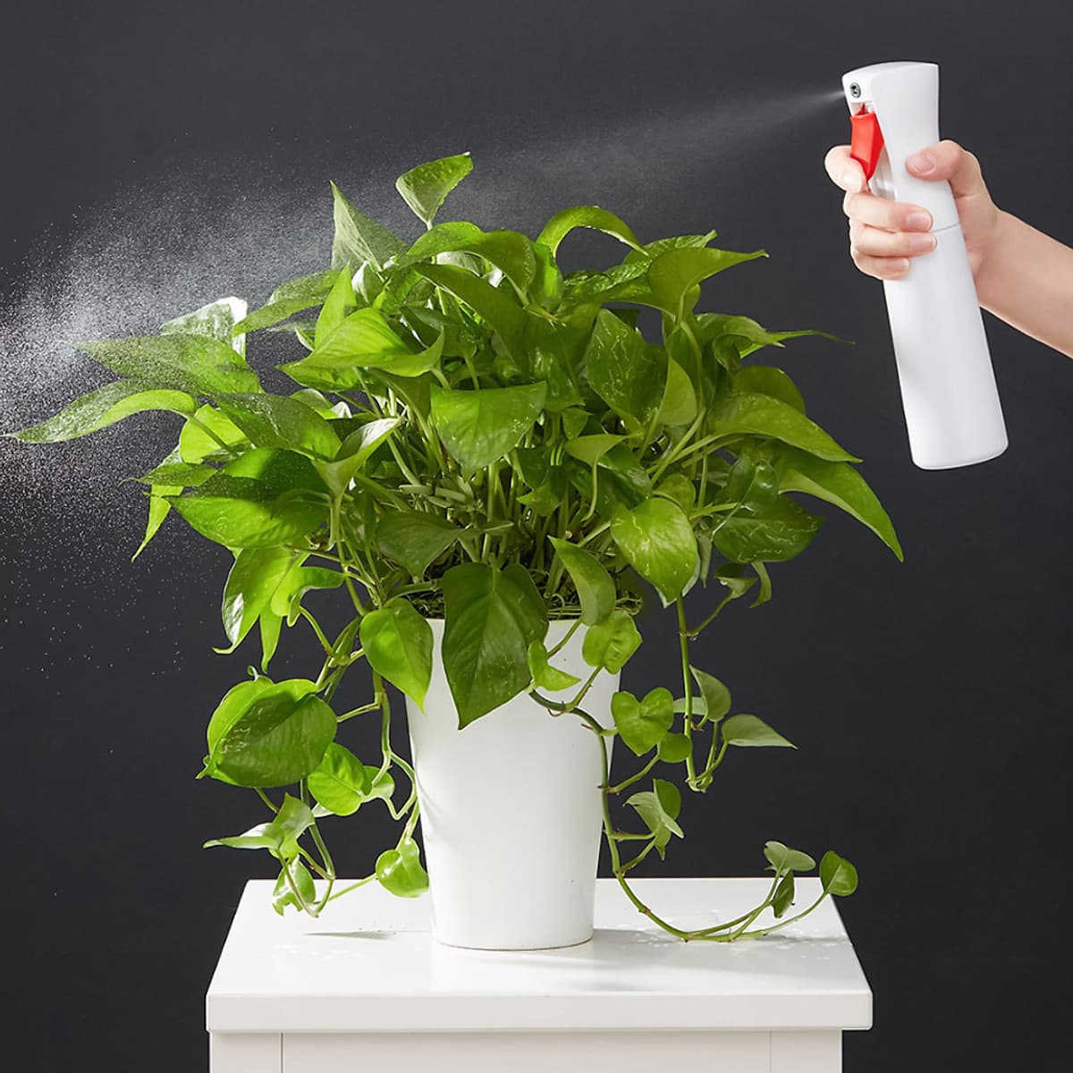 Bình Xịt Phun Sương Chăm Sóc Cây Cảnh Xiaomi Youpin YIJIE Water Sprayer 300ml