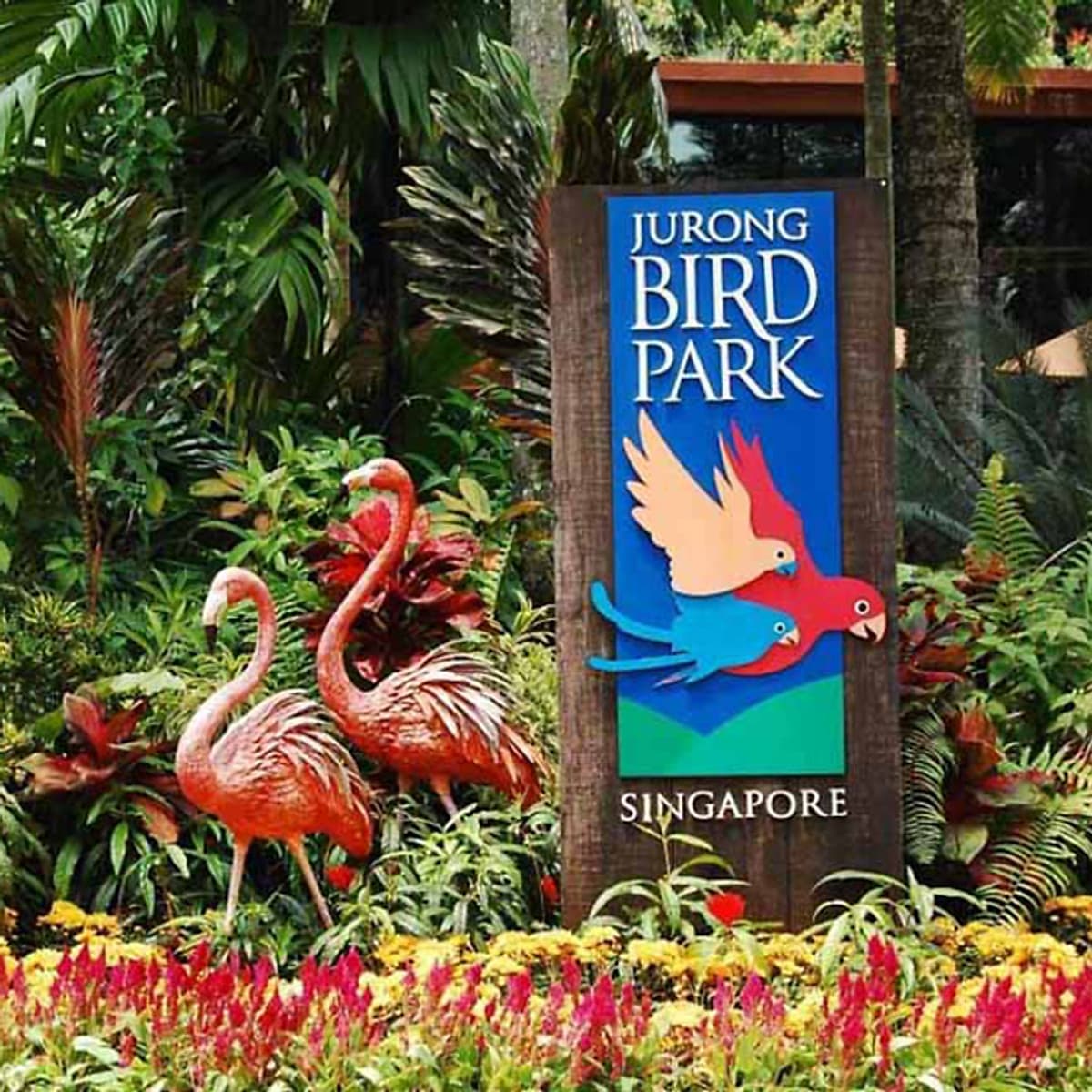 Vé Vườn Chim Jurong (Jurong Bird Park), Singapore