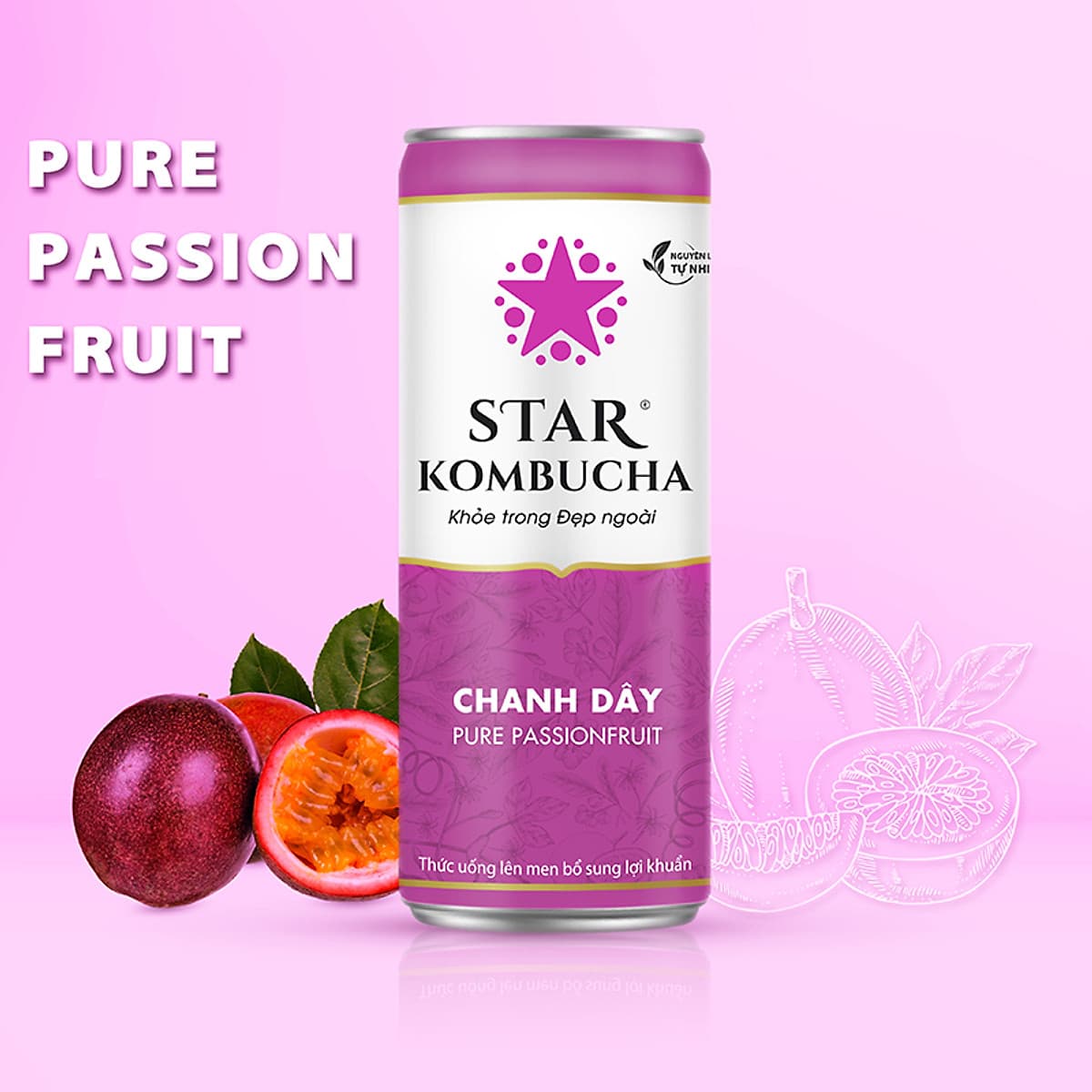 Thùng 12 lon STAR KOMBUCHA All-in-One (250ml/lon)