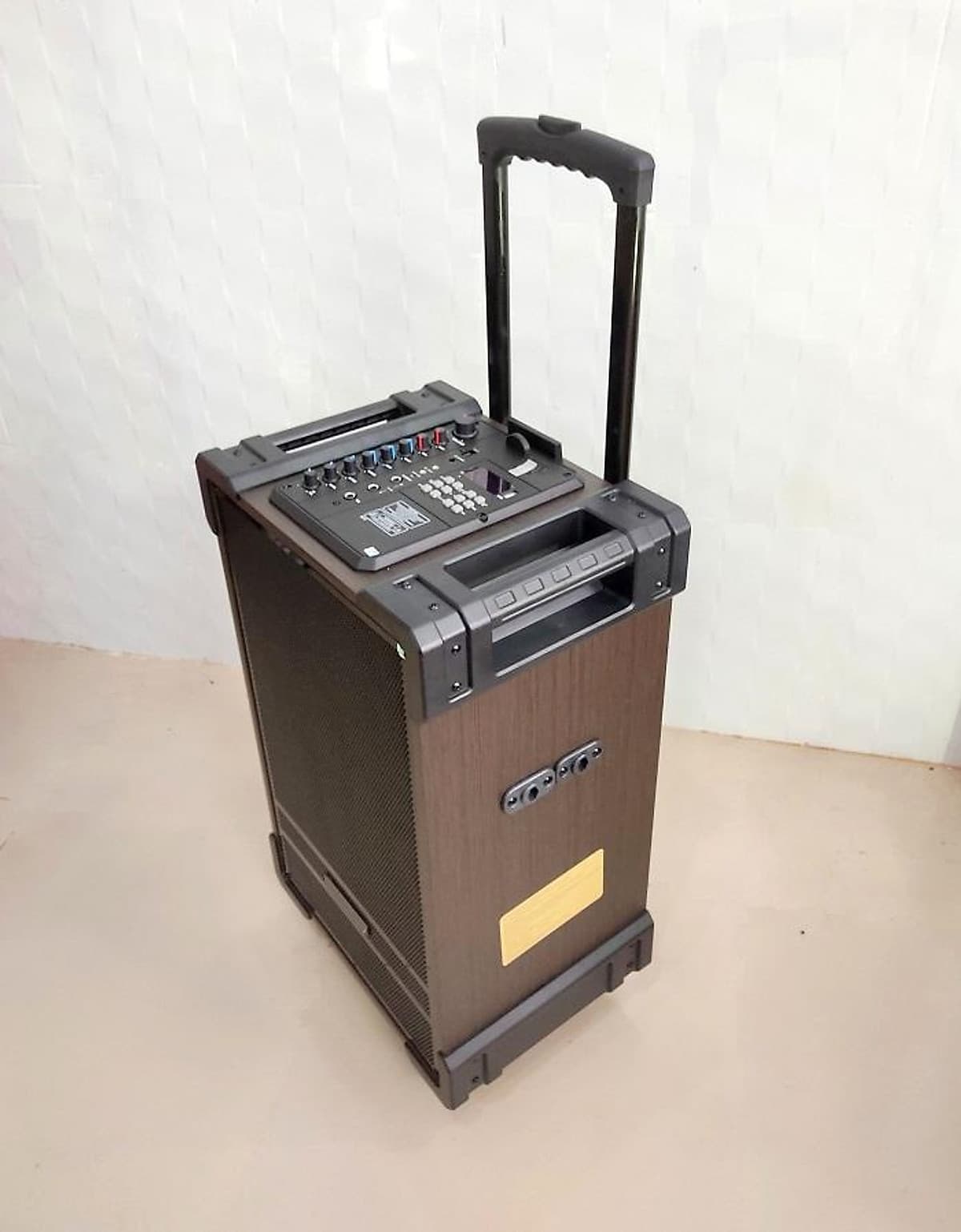 Loa vali kẹo kéo karaoke ronamax mt12 lo gỗ 3 tấc kèm 2micro karaoke