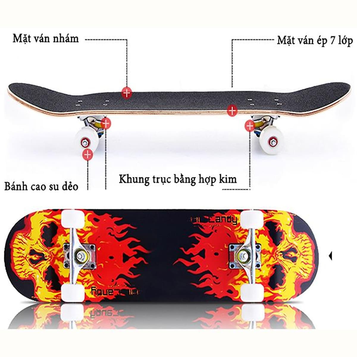 Ván Trượt Mặt Nhám Chống Trơn Trượt Size Lớn 80 x 20cm, Bánh Cao Su, Mặt Ván Trượt Nhám gỗ ép 7 lớp chuẩn thi đấu (Giao màu ngẫu nhiên)