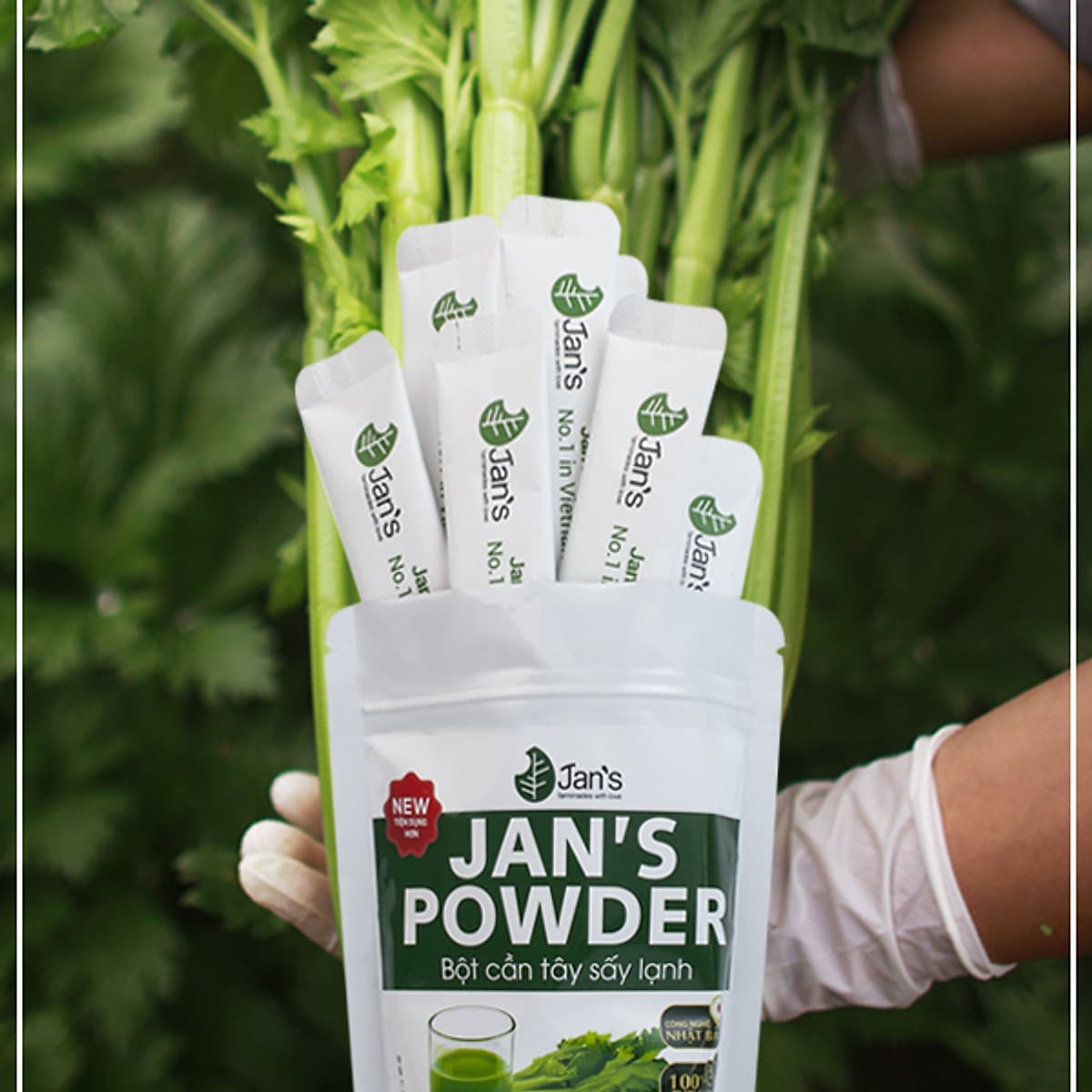Bột Cần Tây Sấy Lạnh Jans hỗ trợ giảm cân - detox đẹp da sạch mụn -Bao bì mới túi 60g - 20 gói x 3g 