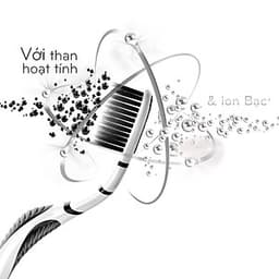 Combo 2 Bàn Chải Đánh Răng P/S Than Bạc - Giao Màu Ngẫu Nhiên
