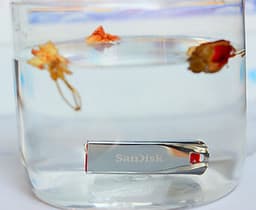 USB 2.0 SanDisk Cruzer Force CZ71 32GB - Hàng Chính Hãng