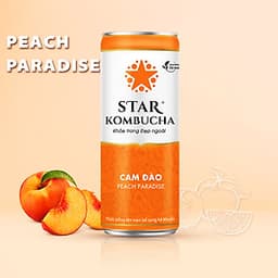 Thùng 12 lon STAR KOMBUCHA All-in-One (250ml/lon)