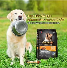 Combo 5 gói thức ăn cho chó trưởng thành Ganador vị thịt cừu & gạo Lamb & Rice 400gram